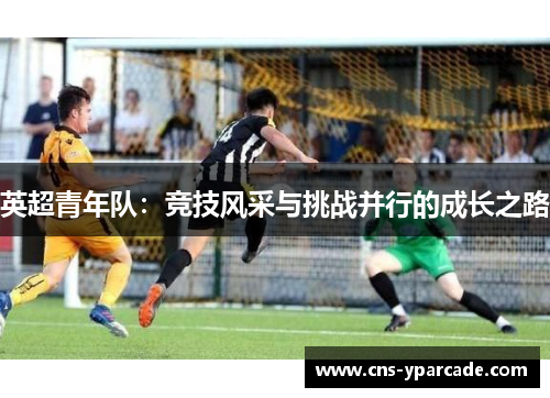 英超青年队：竞技风采与挑战并行的成长之路