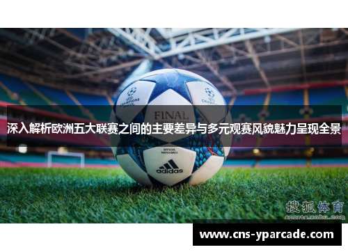 深入解析欧洲五大联赛之间的主要差异与多元观赛风貌魅力呈现全景