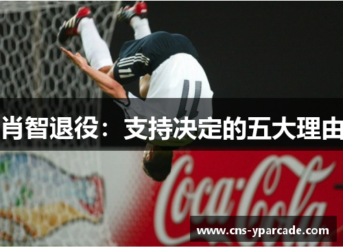 肖智退役：支持决定的五大理由