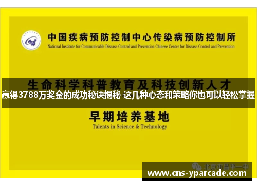 赢得3788万奖金的成功秘诀揭秘 这几种心态和策略你也可以轻松掌握 赢得3788万奖金的成功秘诀揭秘 这几种心态和策略你也可以轻松掌握
